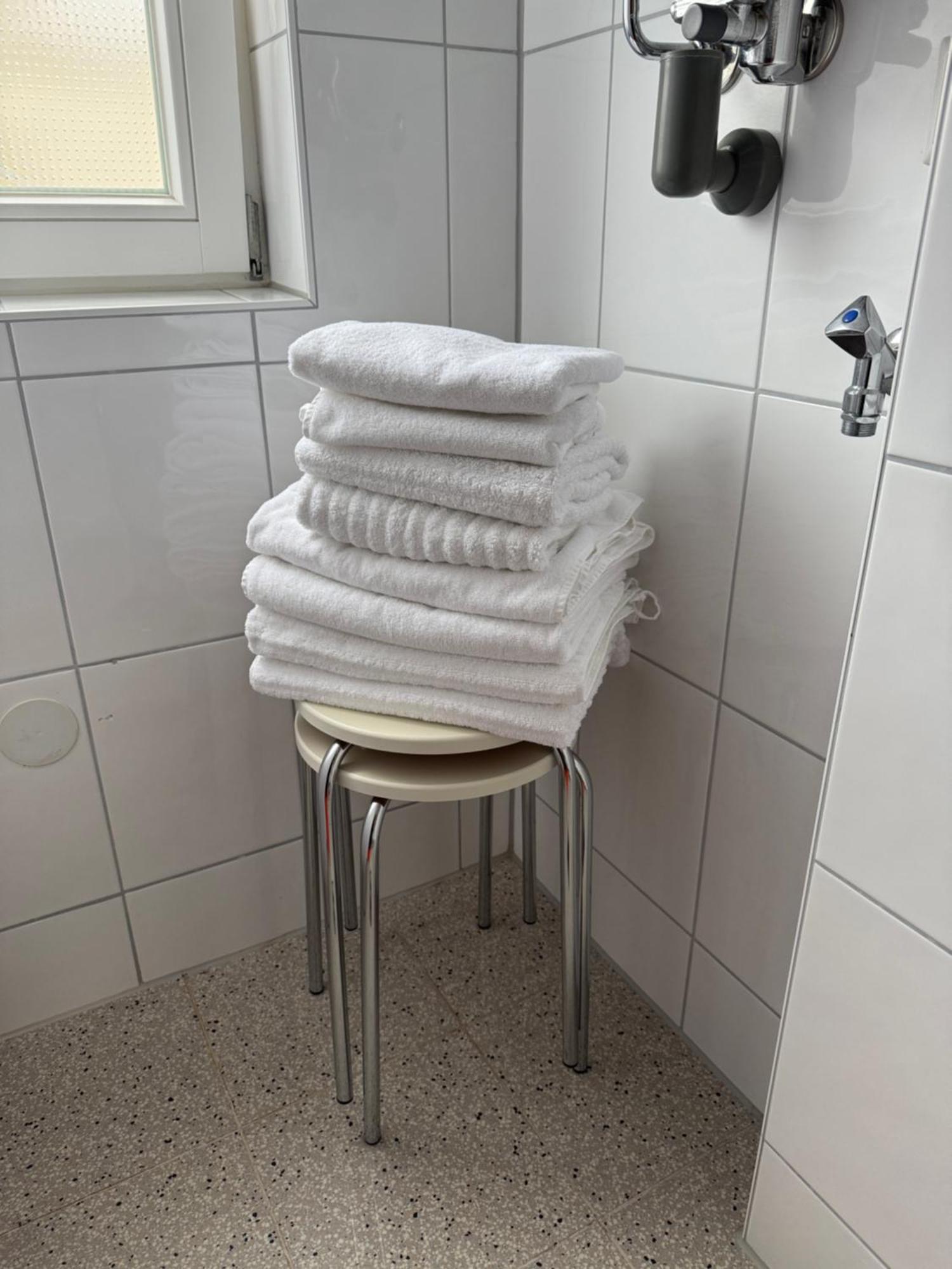 Ferienwohnung Sonja Friburgo in Brisgovia Esterno foto